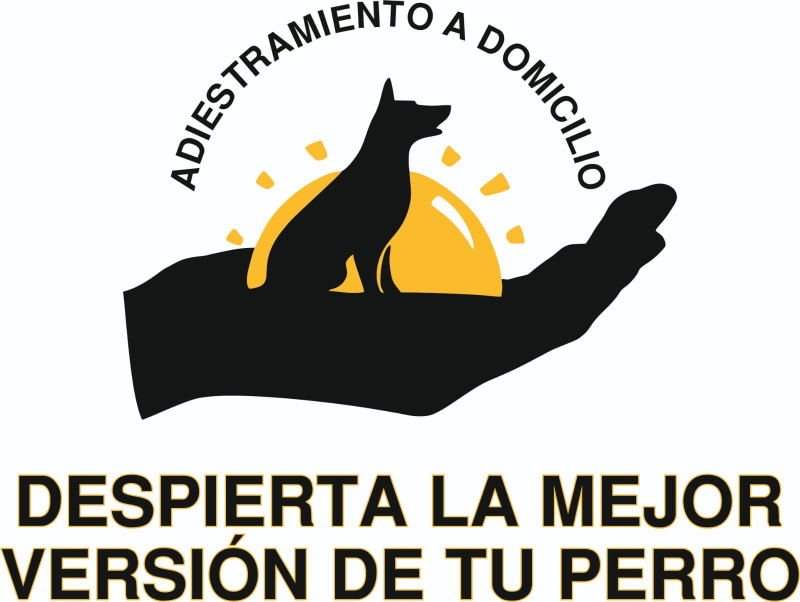 ADIESTRAMIENTO A DOMICILIO